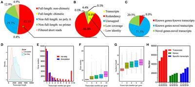 Dynamic Transcriptional Landscape of the Early Chick Embryo